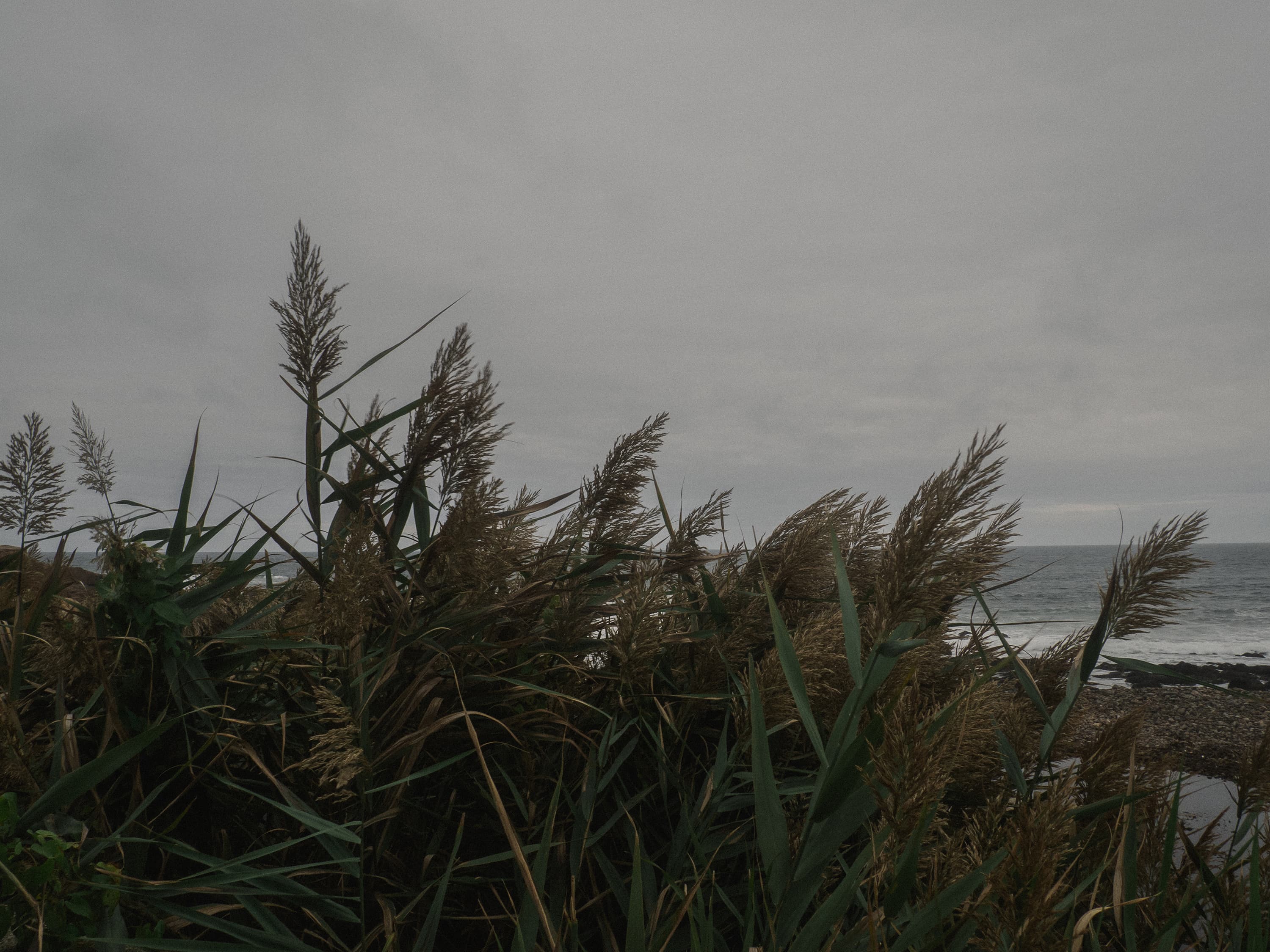 jp-valery-jpvalery-photographer-mystic-mists-massachusetts-boston-new-england-salem-1027